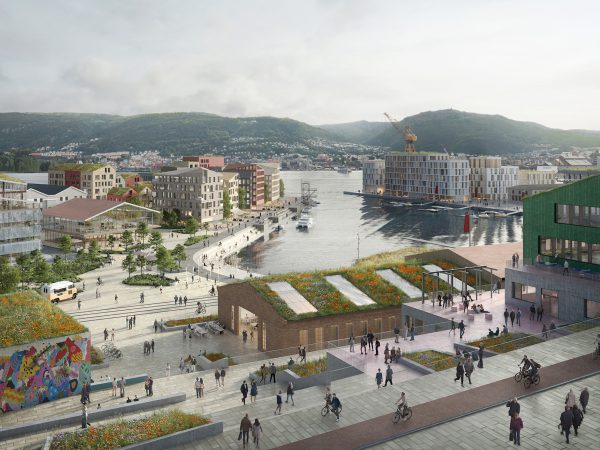 Laksevågneset masterplan