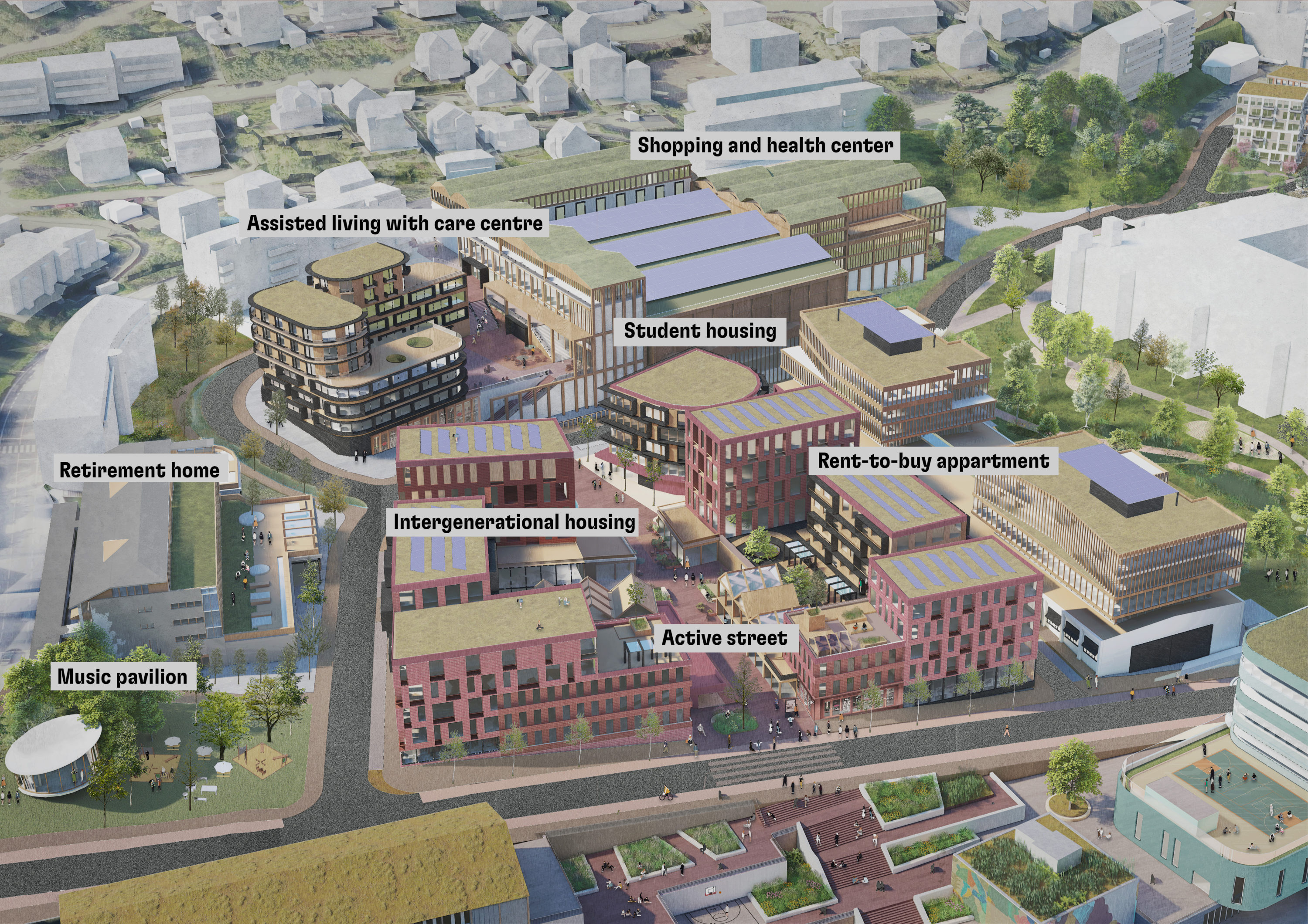 Laksevågneset masterplan