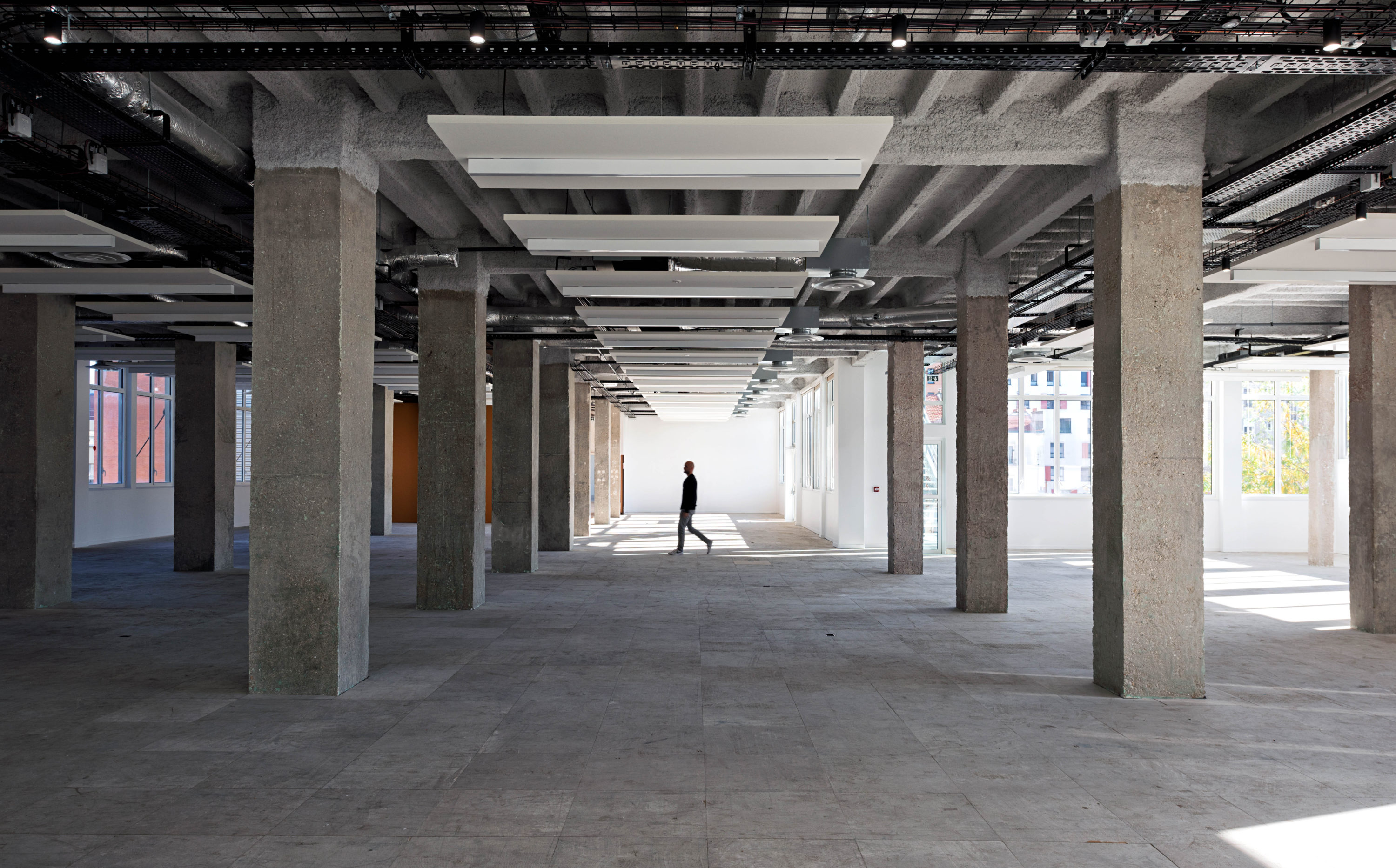 Large office renovation compeleted